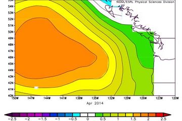 pacific blob graph