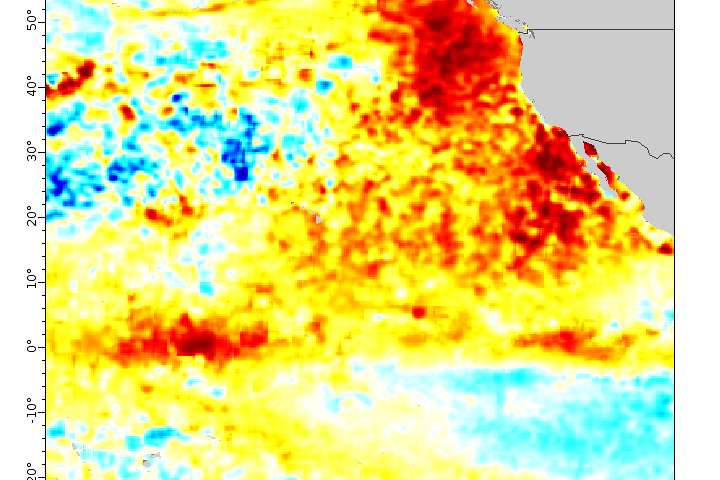 pacific blob