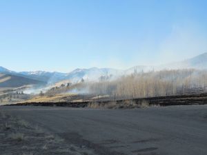 Click to enlarge Wildfire
