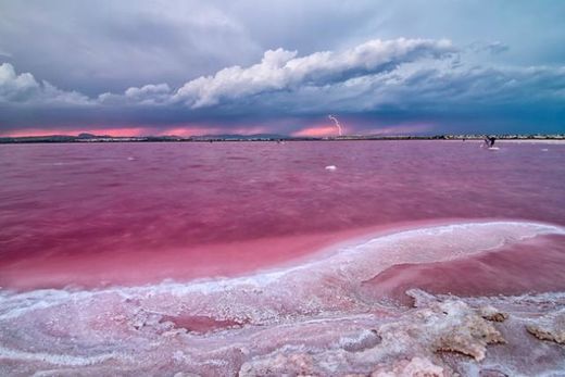 Pink lake3