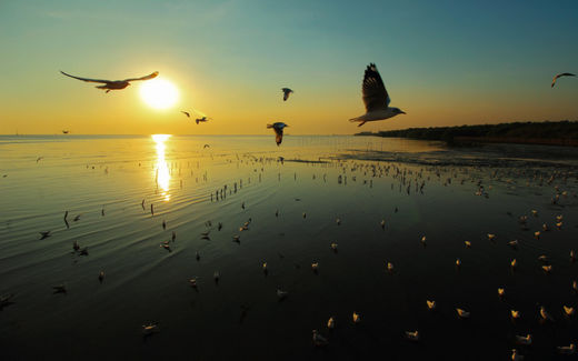 sunrise