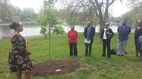 Click to enlarge Michael Brown tree memorial