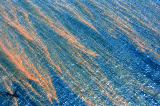 oil spill deepwater horizon