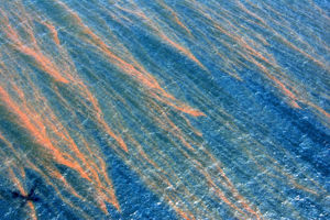 oil spill deepwater horizon