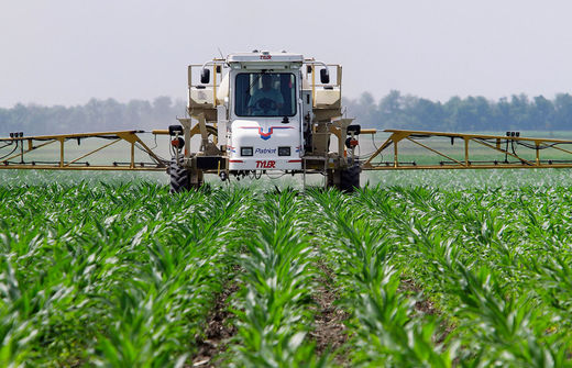 Click to enlarge Glyphosate