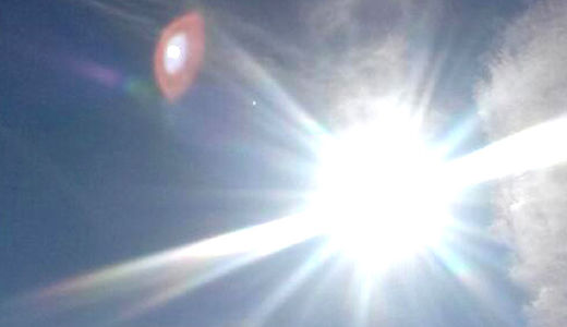 ufo bronx