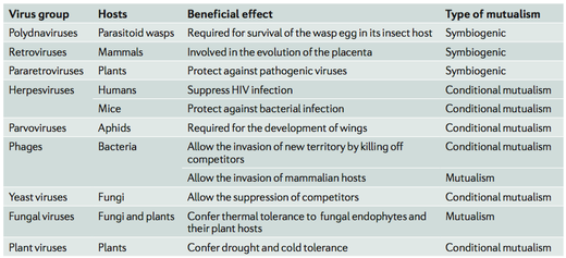 beneficial viruses
