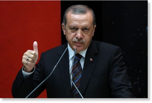 erdogan idiot