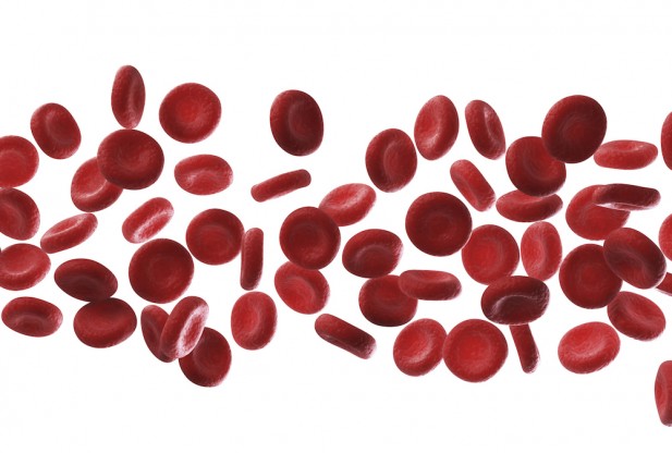 Blood