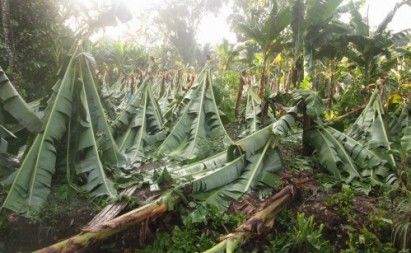 Click to enlarge Tornadoes North Cotabato