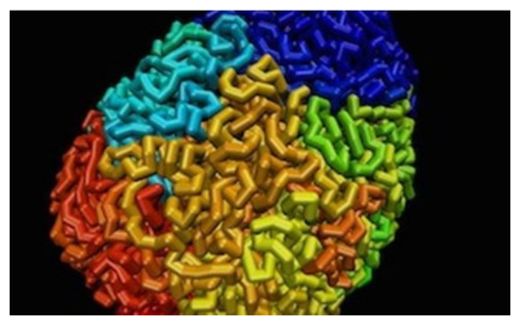 DNA