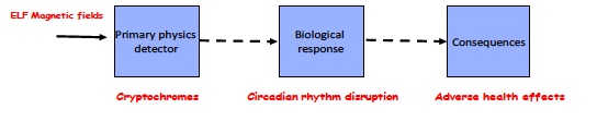 Click to enlarge Image