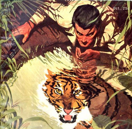 tiger reflection