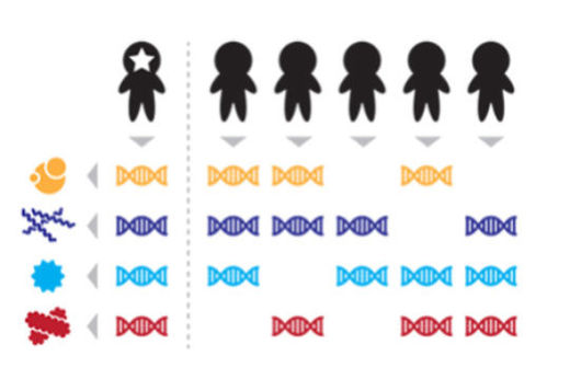 Click to enlarge human microbiome
