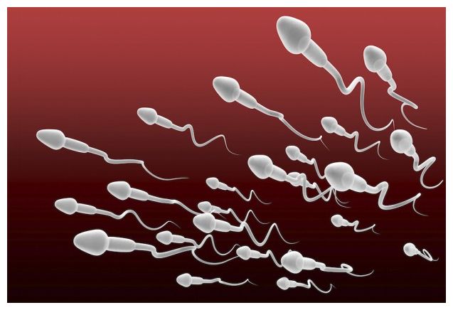 Free lab sperm footage