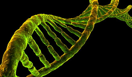 Click to enlarge DNA