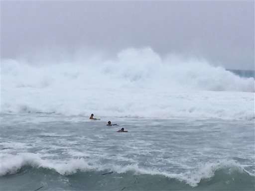 typhoon dolphin guam