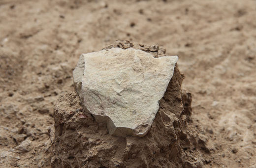 stone tool lomekwi kenya