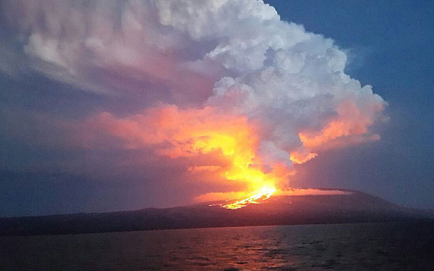 Wolf Volcano
