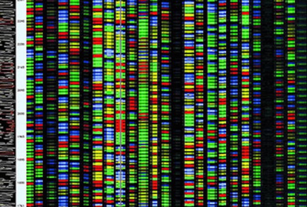 DNA sequencing