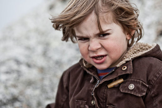 toddler aggression, gut microbes