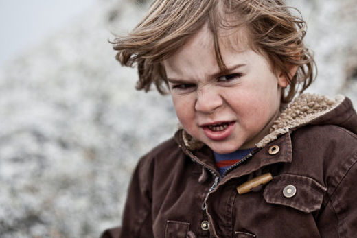Click to enlarge toddler aggression, gut microbes