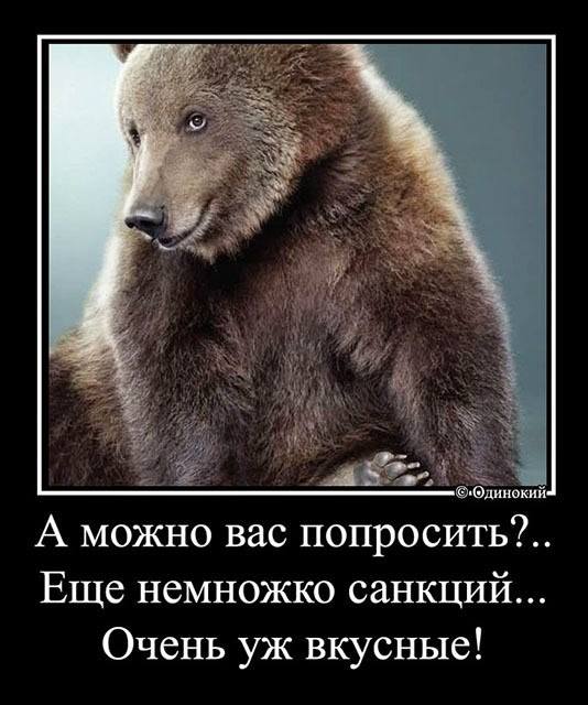 Click to enlarge cartoon russian sanctions