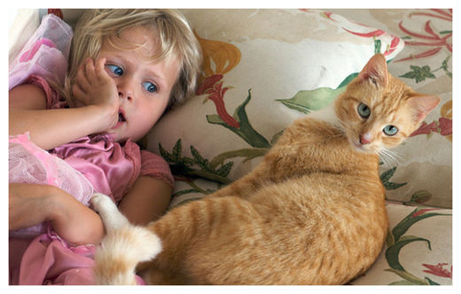 Click to enlarge Child and Cat