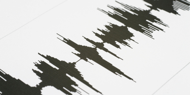 Dunedin Quake
