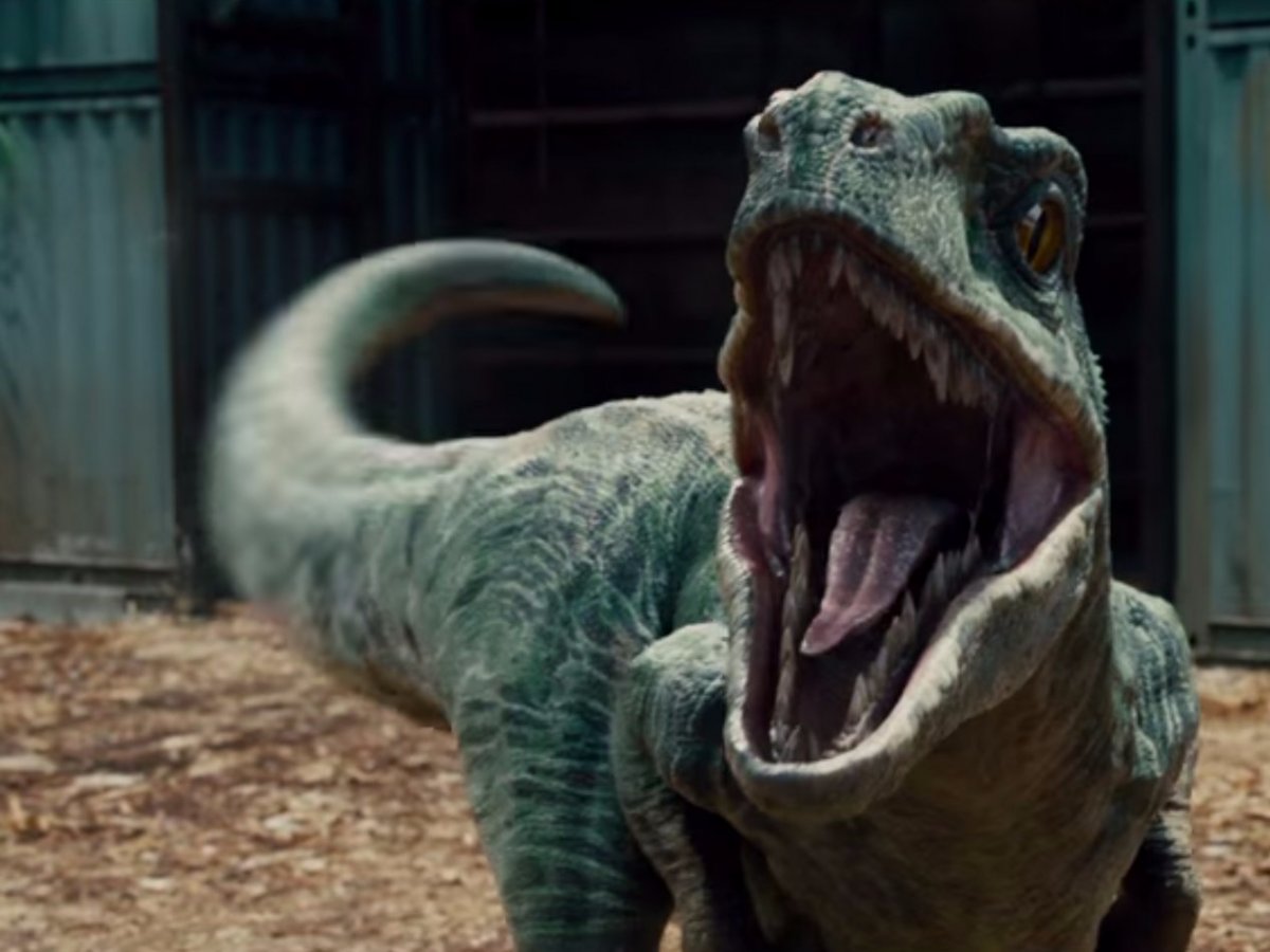 Click to enlarge velociraptor