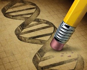 Click to enlarge gene eraser
