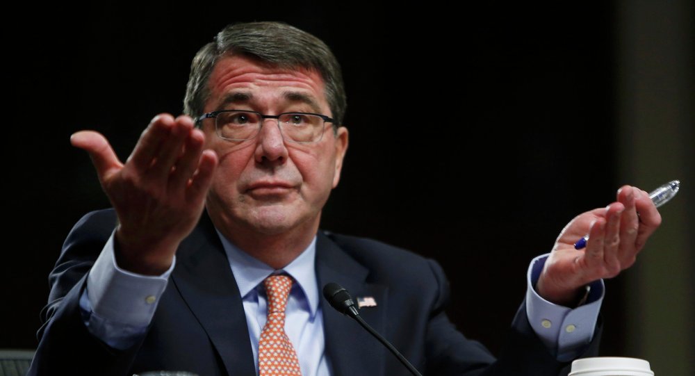 Pentagon-Chef Ashton Carter