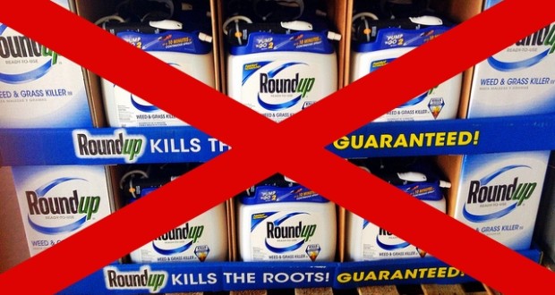 monsanto roundup