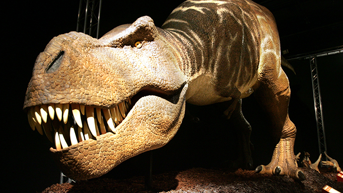 Click to enlarge Tyrannosaurus rex, dinosaur