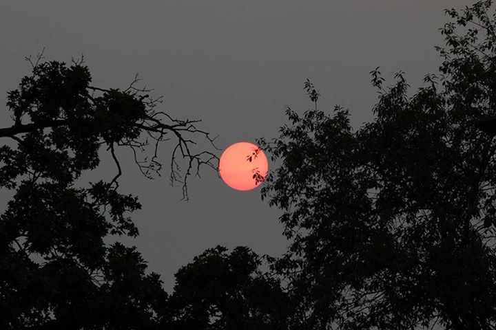 The smoky sun, June 9, 2015 (Geoff Chester via Facebook)
