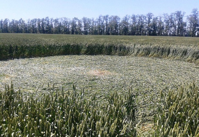 Russia Crop Circle