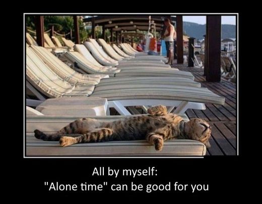 Click to enlarge Alone time