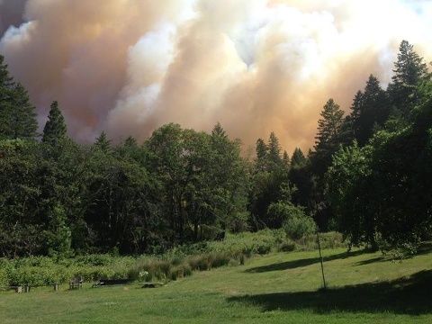 Saddle fire, northern california wildfire