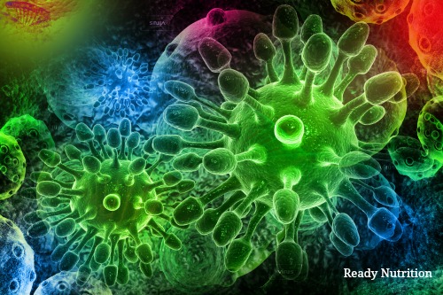 Click to enlarge bacteria