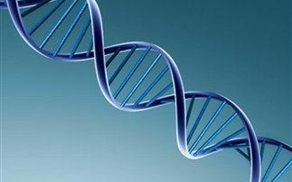 dna
