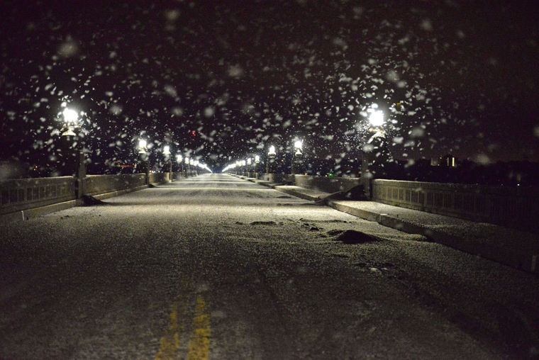 Click to enlarge Mayflies