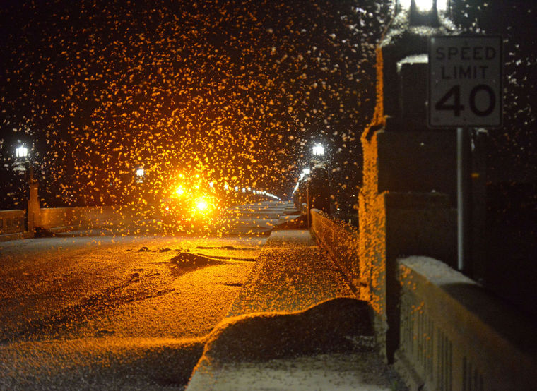Mayflies_2