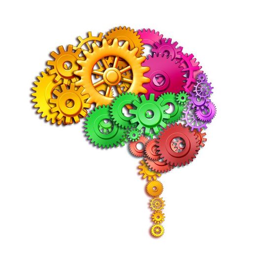 Brain gears