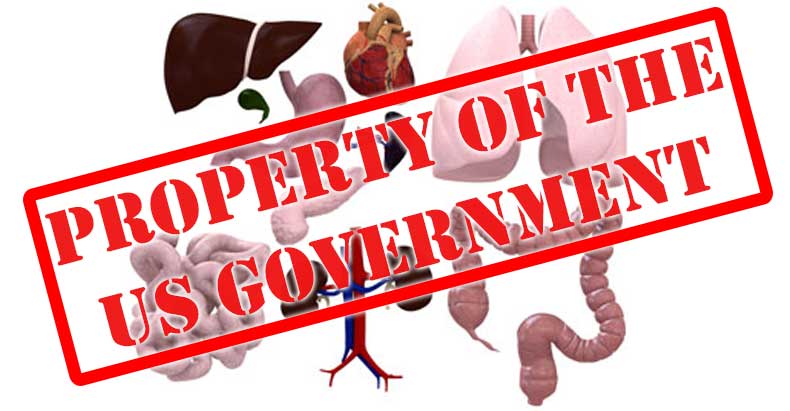 Click to enlarge state still organs