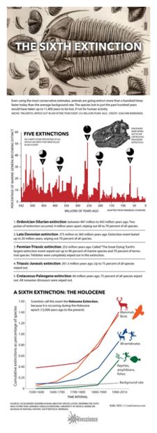 6th Mass Extinction