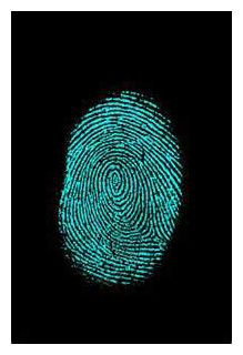 Click to enlarge FingerPrint
