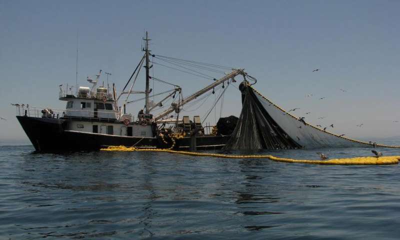sardine fishing boat Pacific Ocean