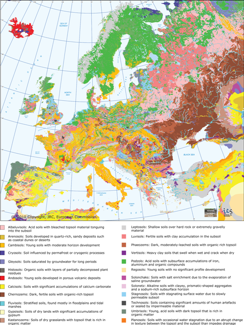 Ukraine soil