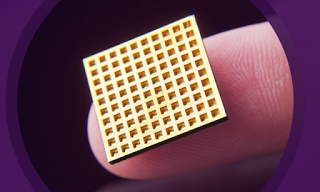 microchip