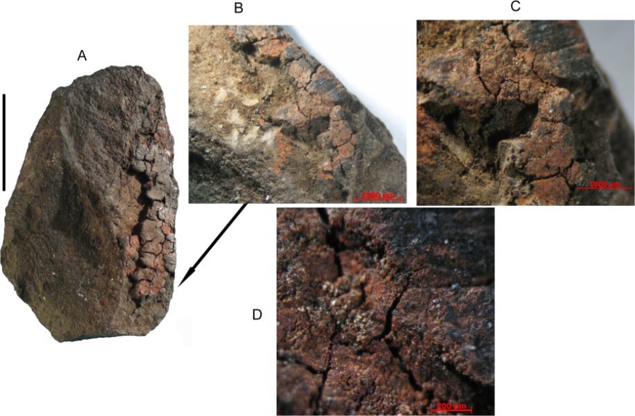 neolithic paint